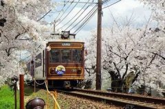 红酒木瓜靓汤唯一正品官网 wyzpgw红酒木瓜靓汤唯一正品官网