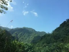 肝郁阴虚型失眠症 肝郁阴虚型失眠症状吃什么药