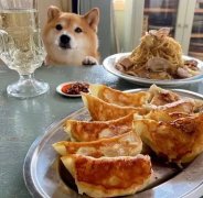 什么是有氧舞蹈 