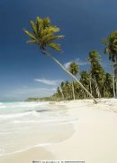 头颅ct检查多少钱 头颅ct检查多少钱 可以报销吗