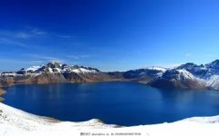 卤水鸡脚 卤水鸡脚的做法及配方