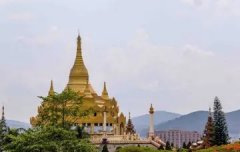 吃新鲜鱼胶的做法 吃新鲜鱼胶的做法大全