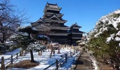 燕窝可以调经吗 燕窝调经吗?