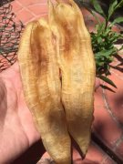 燕窝对男性的功效与作用 燕窝对男性的功效与作用文案