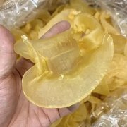牛奶炖燕窝的做法大全 