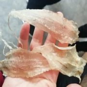 鱼胶炖冰糖的功效与作用 鱼胶炖冰糖的功效与作用禁忌
