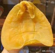 泡小燕燕窝饮用什么水泡 泡小燕燕窝饮怎么泡