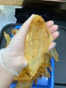 花胶真假图片 花胶真假图片大全