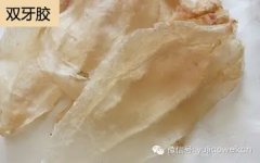 莲子冰糖炖花胶 莲子冰糖炖花胶月子餐