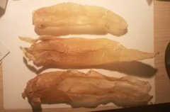 鱼胶与什么配料煲汤 鱼胶与什么配料煲汤好