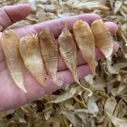 流产后吃花胶补子宫吗 流产后吃花胶补子宫吗有用吗