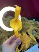 即食燕窝真假 即食燕窝真假怎么辨认图片