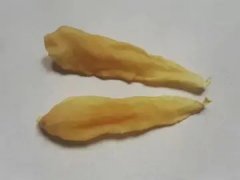 鱼胶煮汤的做法 花胶煲汤的12种做法