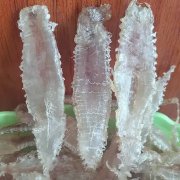 燕窝要浸泡多少时间 燕窝的正确做法和吃法