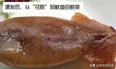 燕窝酵素膳食纤维粉 燕窝酵素膳食纤维粉怎么喝