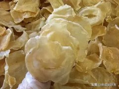 鱼胶炖前要泡水吗 鱼胶炖前要泡水吗怎么泡