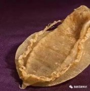 花胶炖什么药材好 花胶炖什么药材好吃