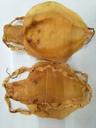 女人吃海参好还是吃燕窝好