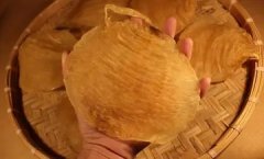 吃花胶对卵巢衰退有帮助吗 吃花胶对卵巢衰退有帮助吗女性