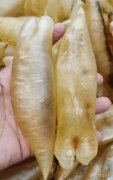 鱼胶吃了有什么功效与作用 三种人不宜吃鱼胶