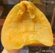 收藏鱼胶贬值吗 收藏鱼胶贬值吗知乎