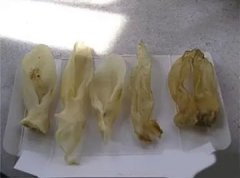 星空燕窝图片大全 星空燕窝图片大全高清