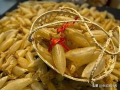 花胶 什么鱼1001无标题 鱼花胶图片