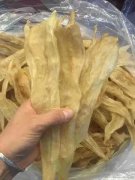 哪里可以买到花胶正品 花胶在哪里能买到正品