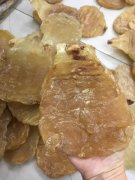 花胶可以浸泡一个星期吗 花胶可以浸泡一个星期吗视频