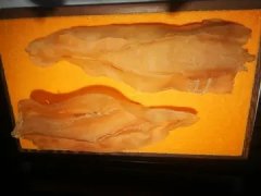 鱼胶有腥臭味正常吗 鱼胶有腥臭味正常吗还能吃吗