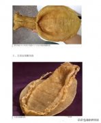 青源堂的燕窝怎么样 青源堂的燕窝怎么样好不好