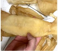 竹叶胶是什么鱼的鱼鳔 竹叶胶是什么鱼的鱼鳔做的