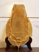 人工鱼胶是什么样的 人造鱼胶是什么样图片