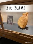 怎样泡发花胶片视频 怎样泡发花胶片视频讲解