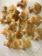 白花胶怎么泡 白花胶怎么泡没腥味