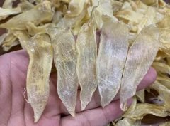 花胶一次吃多少克 花胶一次吃多少克干的还是湿的