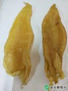 鱼胶是有腥味好还是没有腥味好 鱼胶是有腥味好还是没有腥味好
