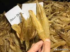南瓜炖鱼胶功效 南瓜炖鱼胶功效作用
