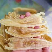 鱼胶的功效和作用禁忌 吃鱼胶的10大禁忌