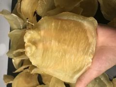 鱼胶可以怎么做好吃 鱼胶可以怎么做好吃又营养