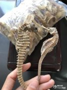 燕窝可以促进卵泡发育吗 燕窝可以促进卵泡发育吗