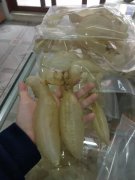 金钱鳘鱼胶能提升白细胞吗 金钱鳘鱼胶怎么吃