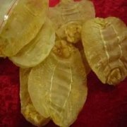 花胶润肺汤 花胶 润肺
