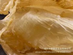 花胶泡完一撕就烂 花胶泡完一撕就烂还能吃吗