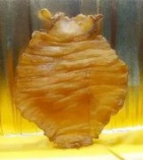 鱼胶和胶原蛋白肽哪个好 鱼胶和胶原蛋白肽哪个好一些