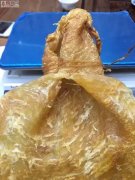 鲍汁花胶用什么铺底 鲍汁扒花胶