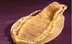 十大鱼胶排行榜 十大鱼胶排行榜家常吃法