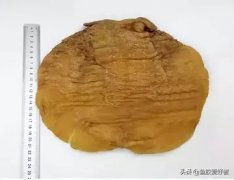 什么样的人不能吃花胶 