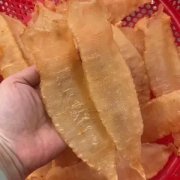 什么鱼的花胶不腥 