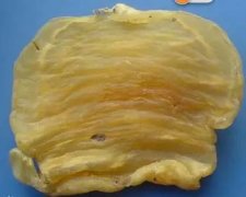 流产吃花胶有没有好处 流产吃花胶有没有好处呢